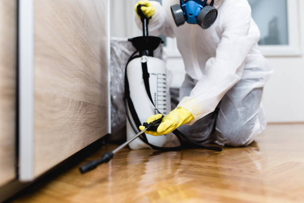 Best Emergency Pest Control  in Chamberlain, SD