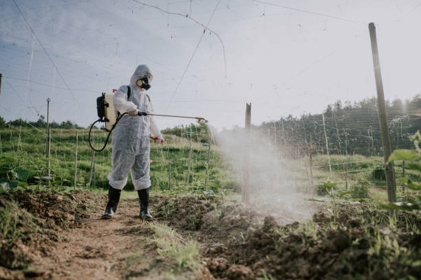 Best Best Pest Control Companies  in Chamberlain, SD