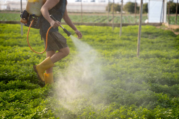 Best Pest Removal Services  in Chamberlain, SD