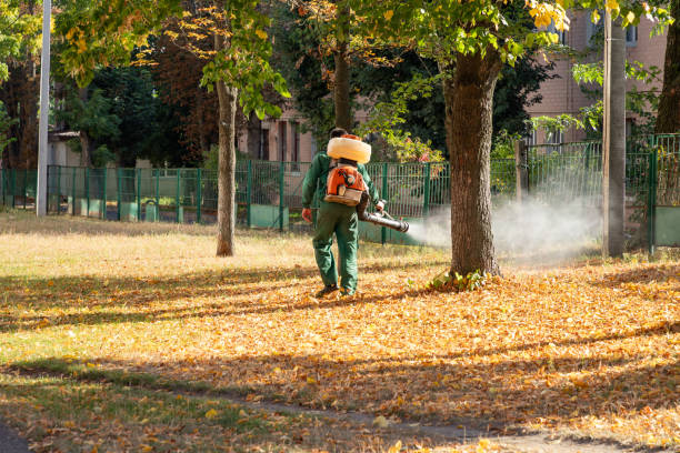 Best Cockroach Control Services  in Chamberlain, SD