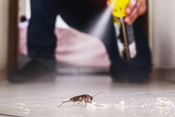 Best Best Pest Control Companies  in Chamberlain, SD